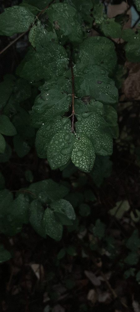 Photograph by Вероника Белько