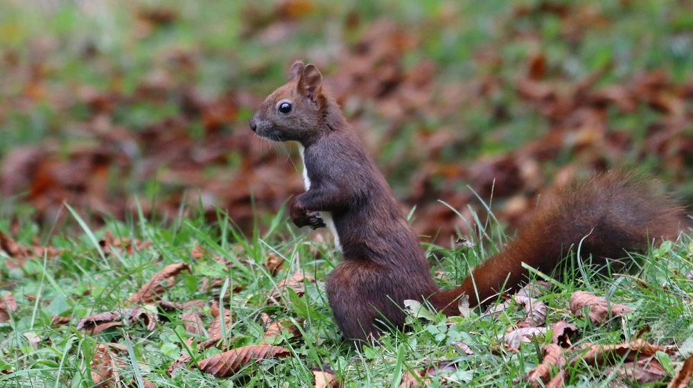 Photograph by BORUT DEŽMAN