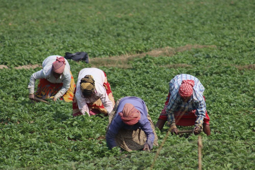 Photograph by SURAJIT SARKAR