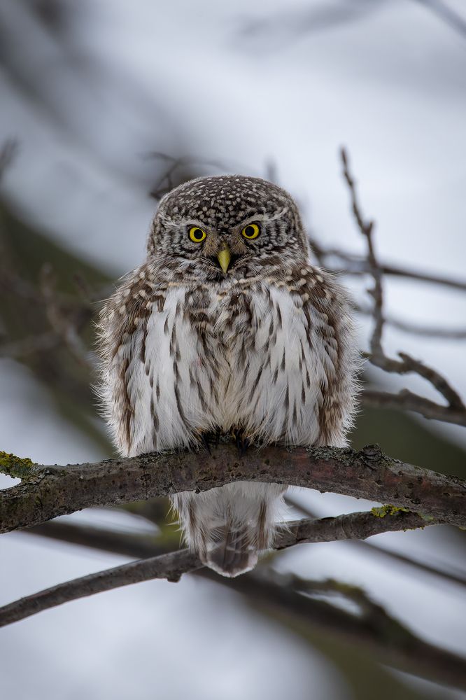 Photograph by Антон Науменко