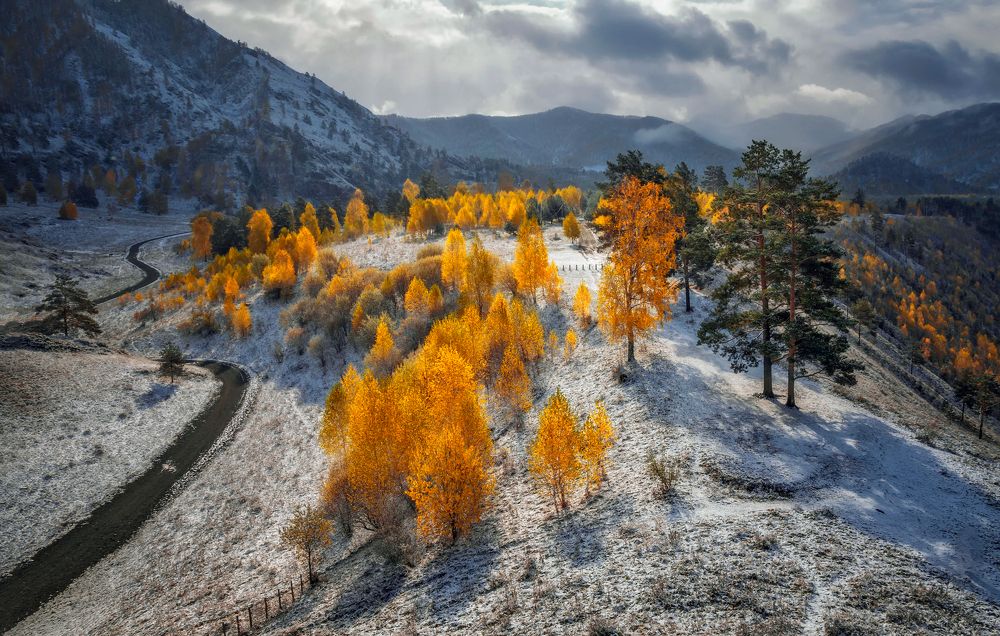 Первый снег и золото берёз...