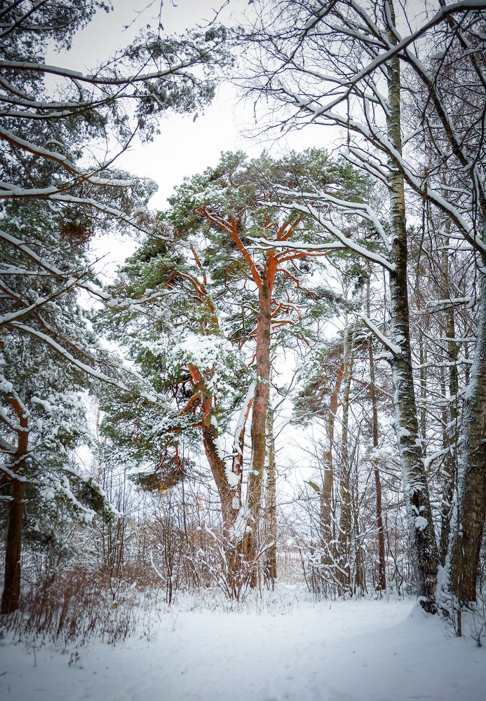 Photograph by Андрей