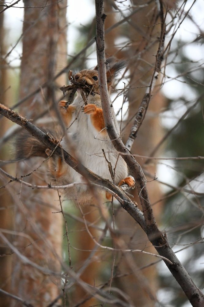 Фотография автора Ola La