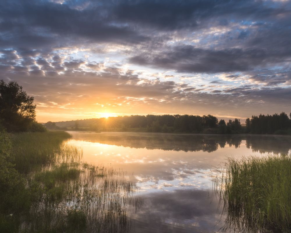 Фотография автора Тимофей Трямкин