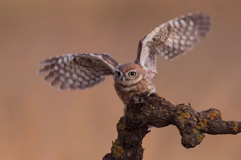 Photograph by Евгений Фруман