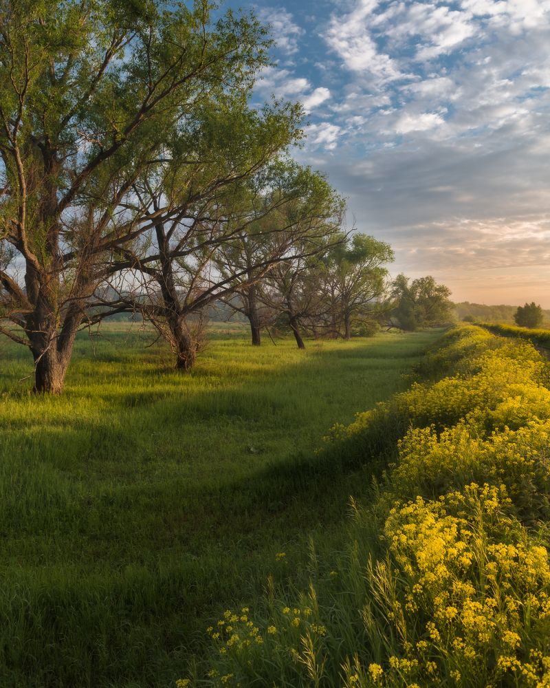 Фотография автора Тимофей Трямкин