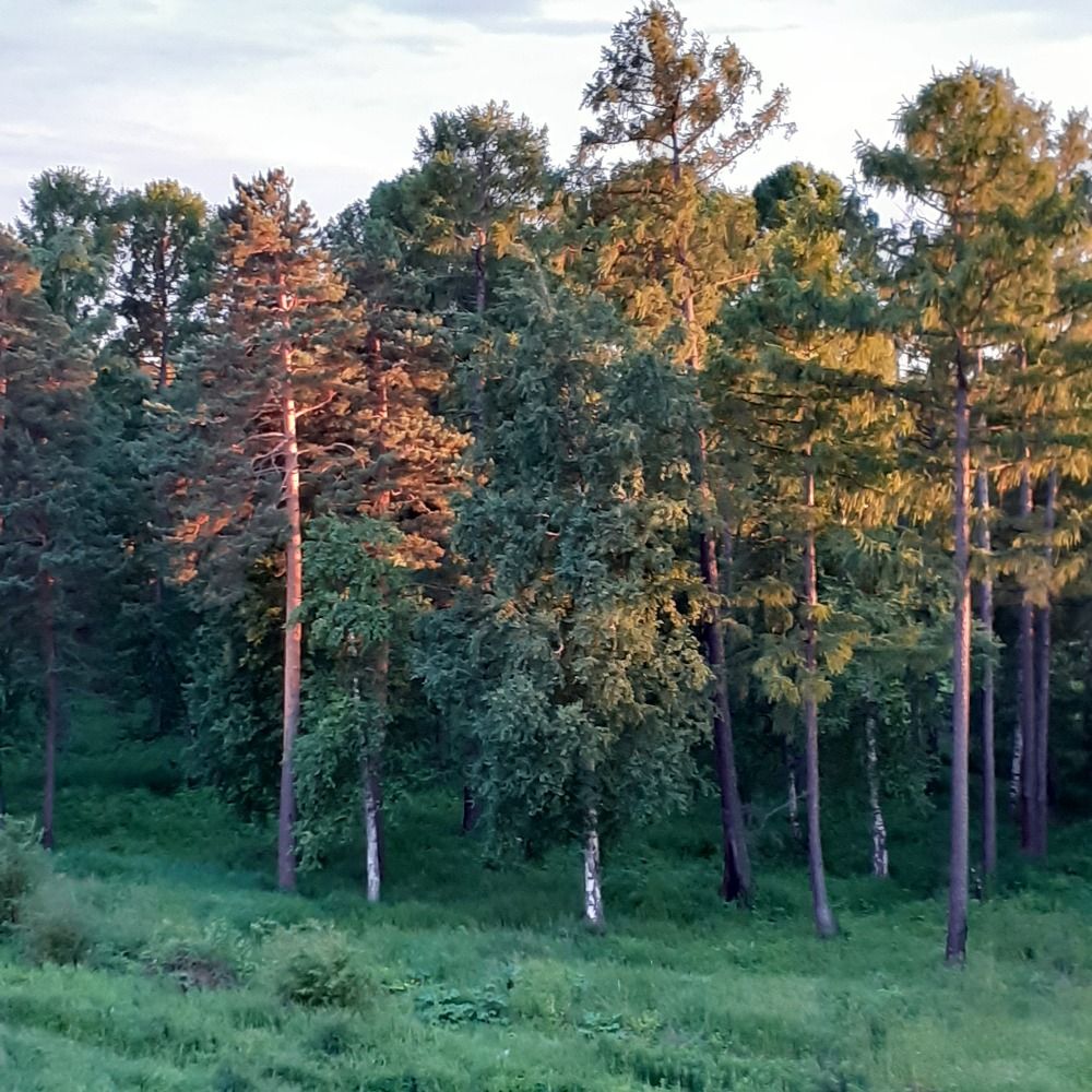 Photograph by Елена Борисовна