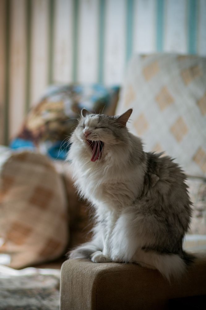 Photograph by  valpushphoto