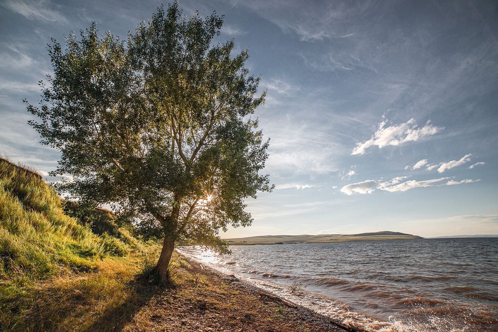 Фотография автора Юлия Горбачёва