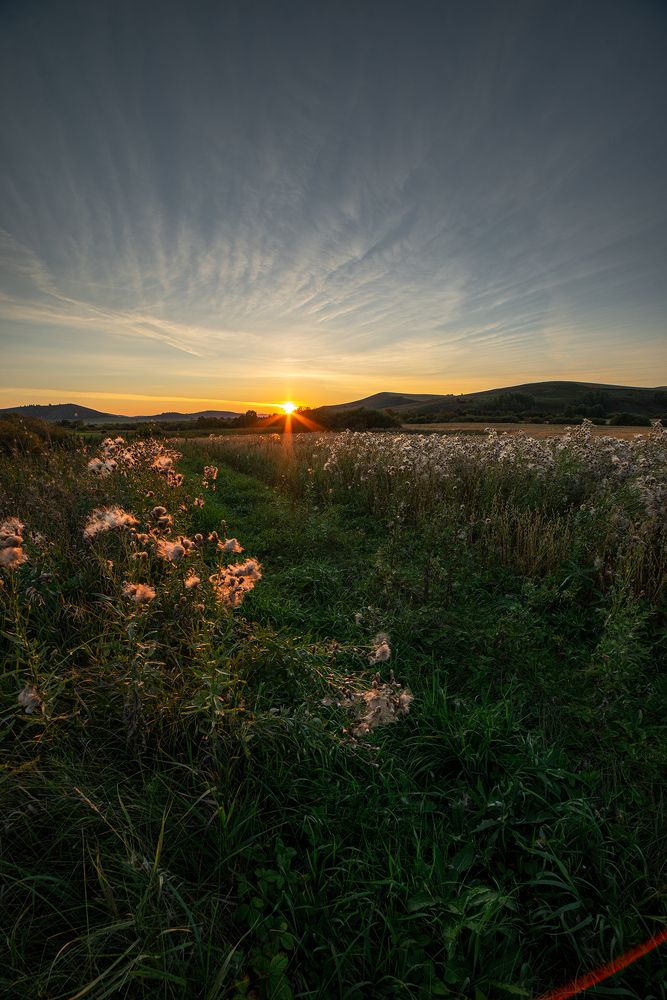 Фотография автора Юлия Горбачёва