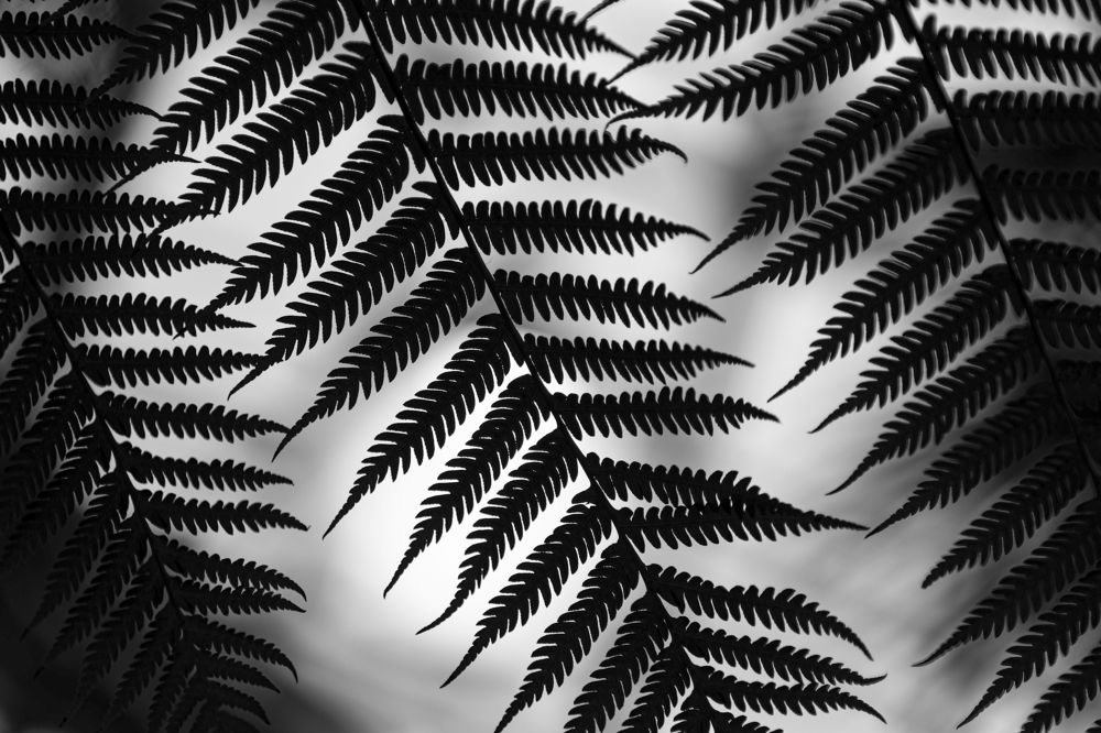 Photograph by Андрей