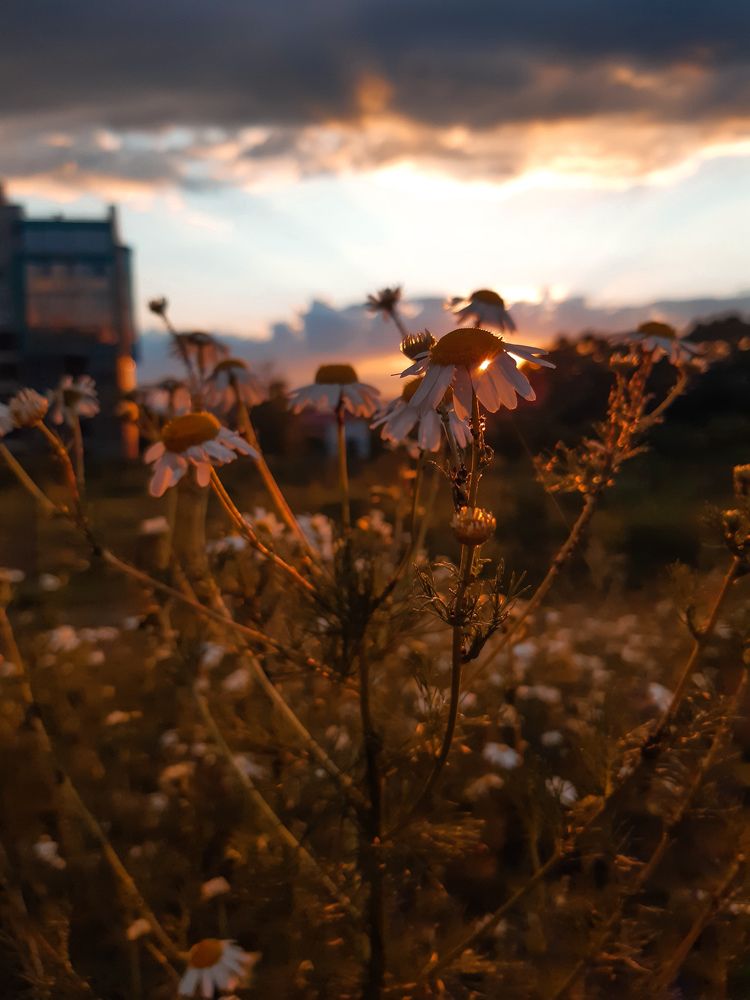 Photograph by Natalia Nevzorova