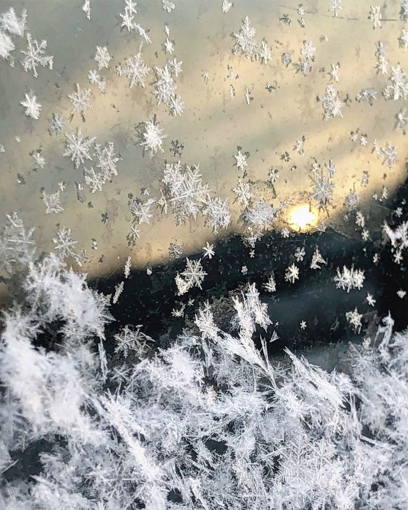 Photograph by Halina Mitsevich