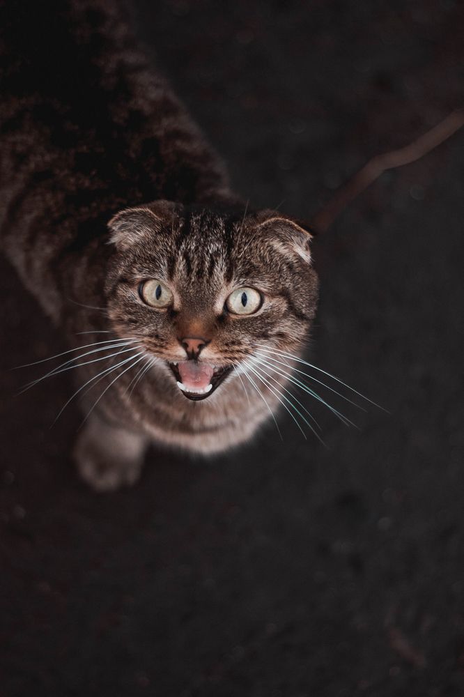 Photograph by Есения Байдалина
