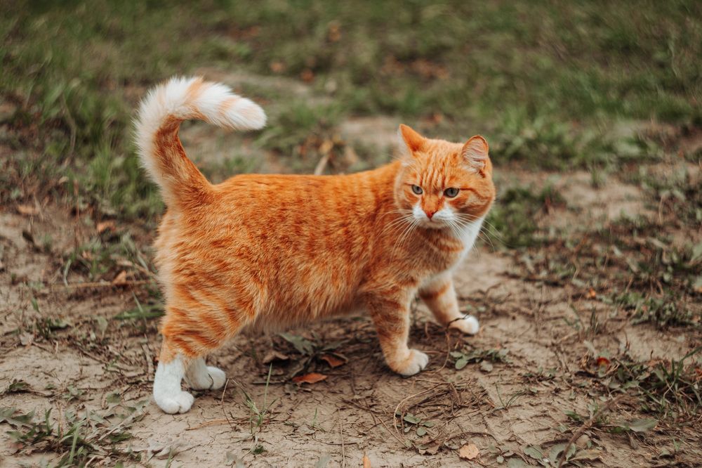 Photograph by Кирилл Трушин