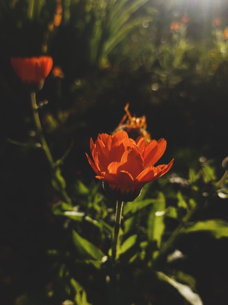 Photograph by Екатерина Мосевич