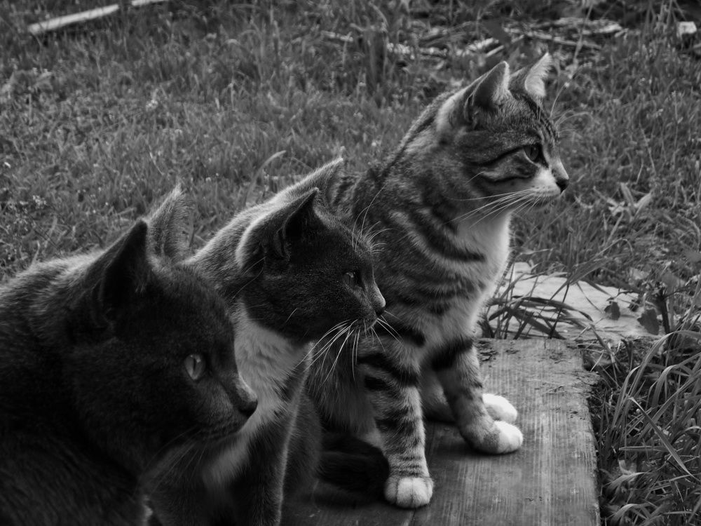 Photograph by Мария Гостева