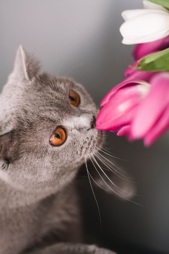 Photograph by Есения Байдалина