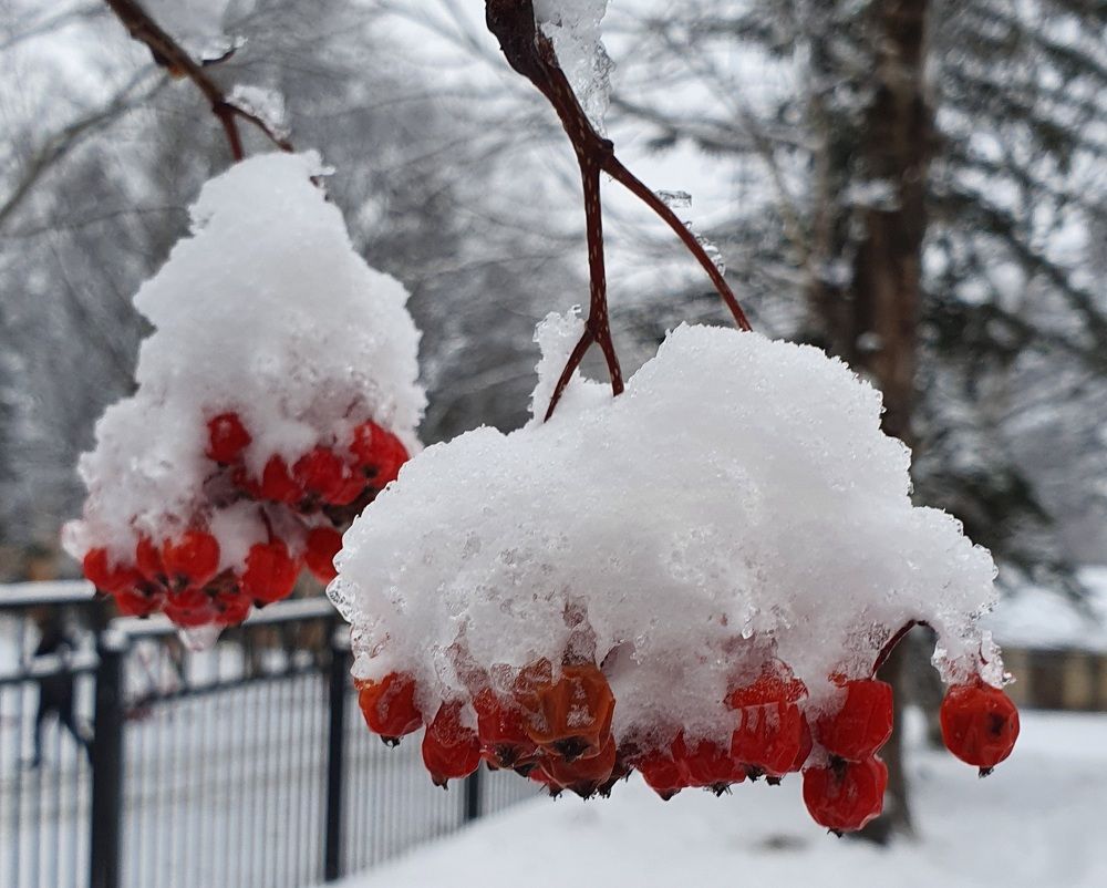 Photograph by Жанна