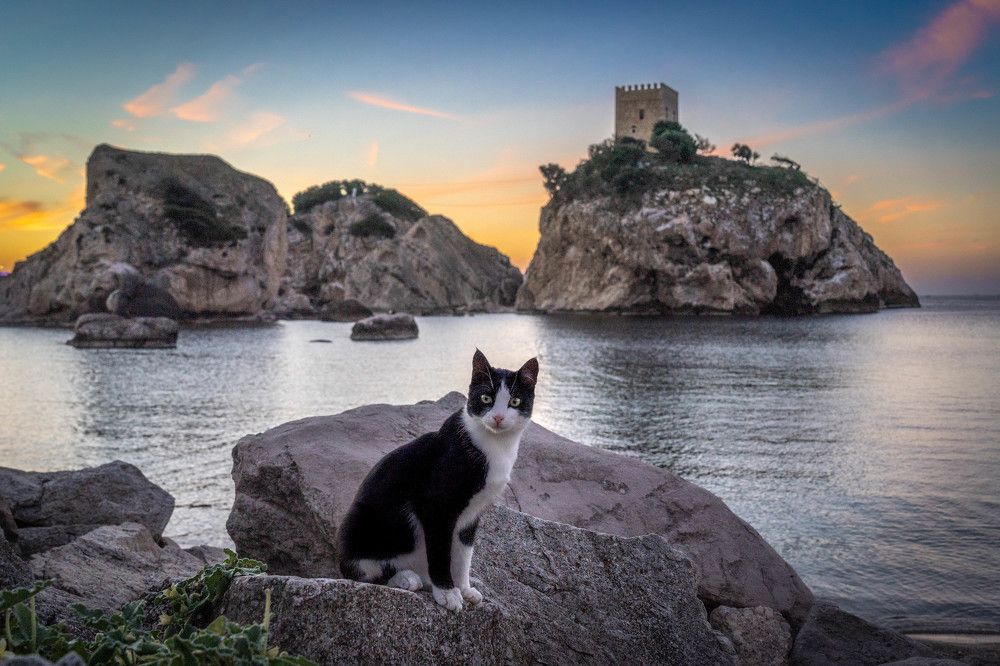 Photograph by Таймураз Гумеров