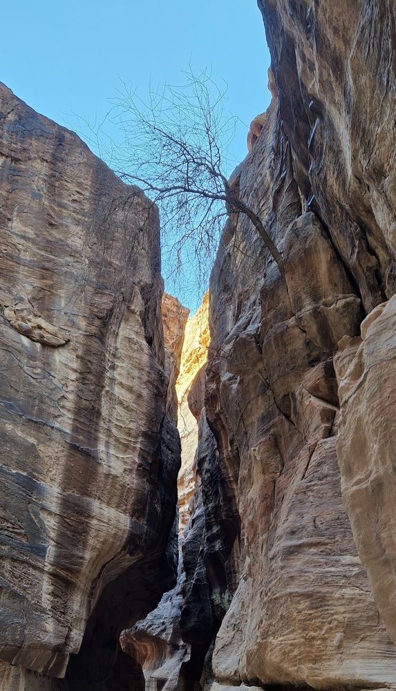 Photograph by Елена Бородич