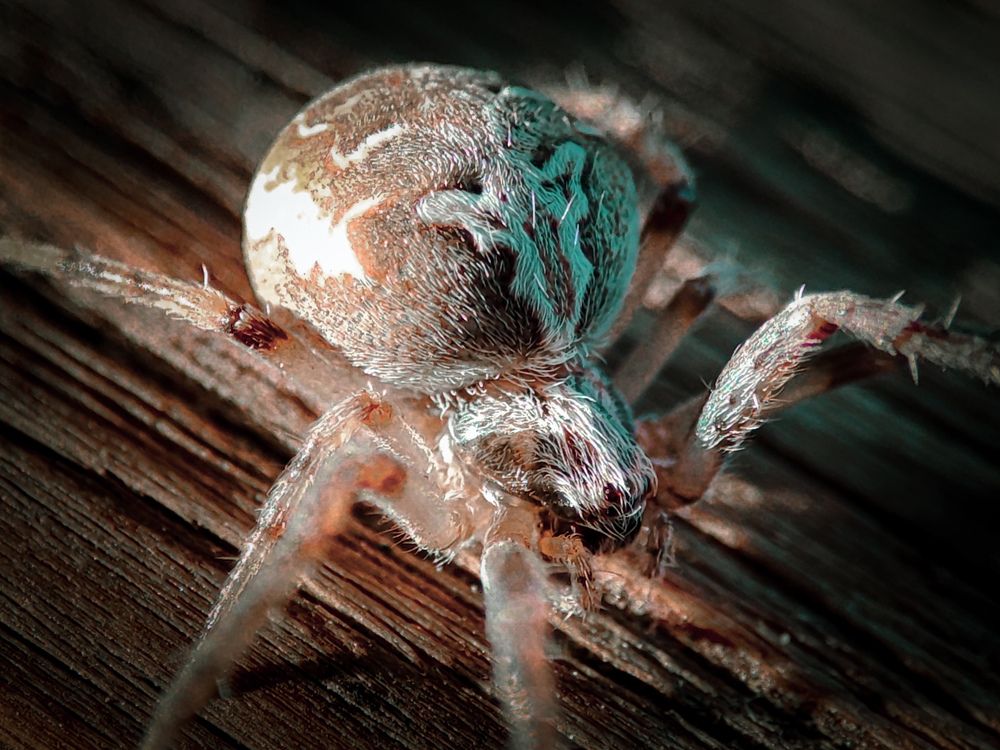 Photograph by Александра Петрова