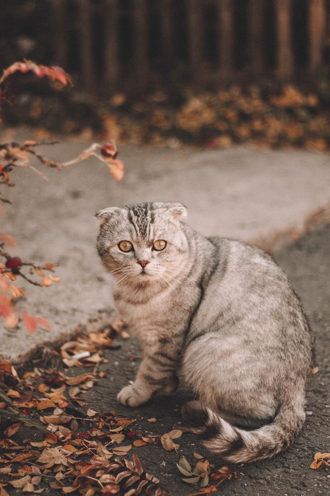 Photograph by Есения Байдалина