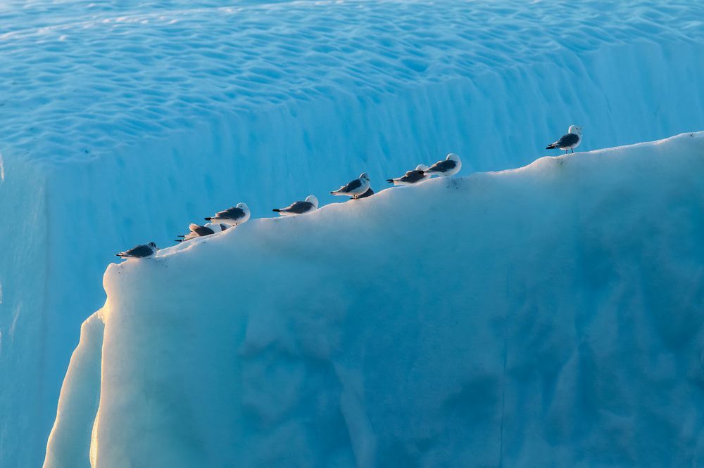 Photograph by Milan Chudoba