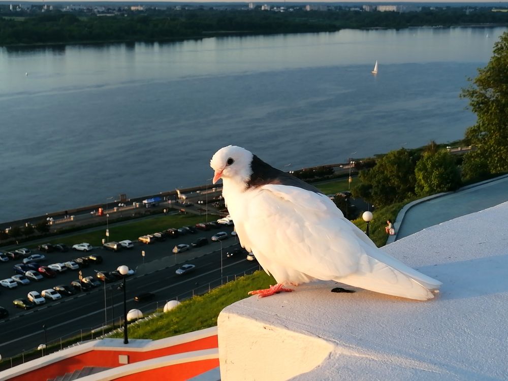 Photograph by Евгений Пигарёв