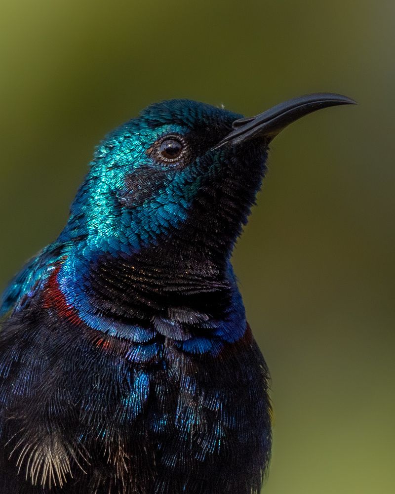 Photograph by Chaitanya Dudhalkar