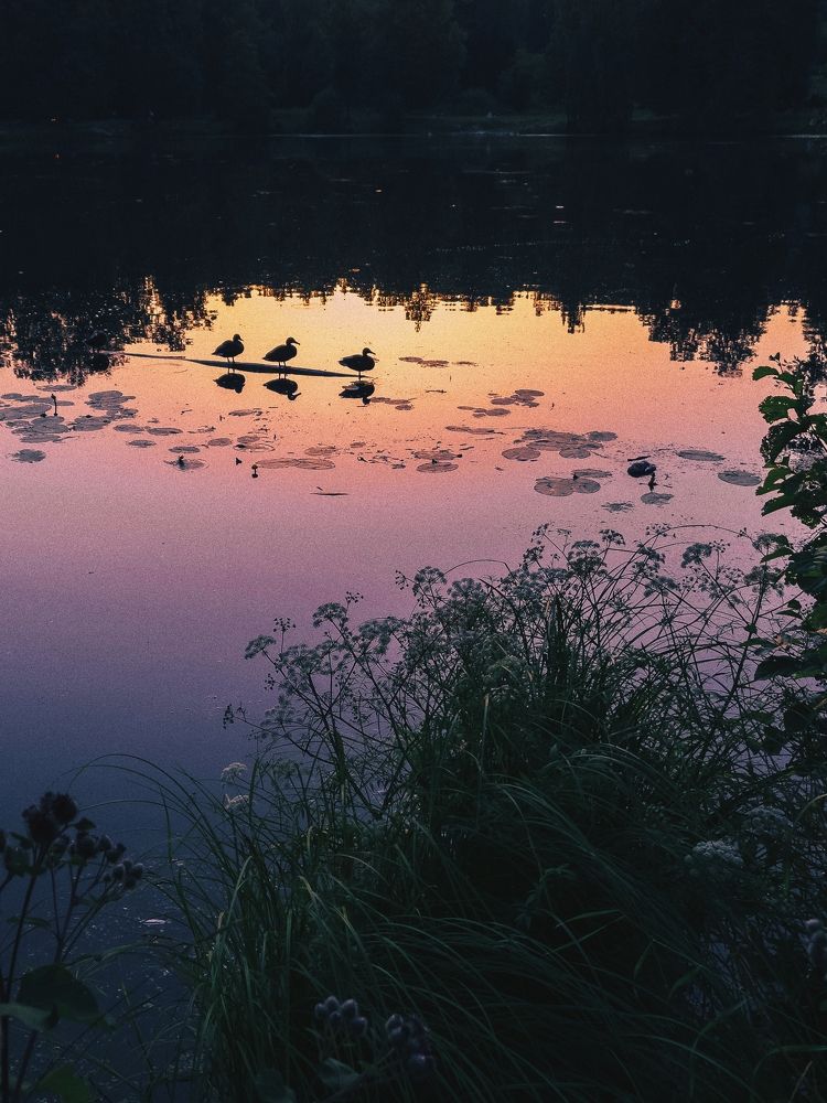 Photograph by Людмила Мельтишинова