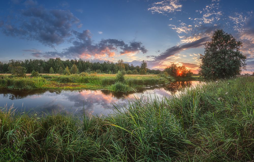 Photograph by Андреев Николай