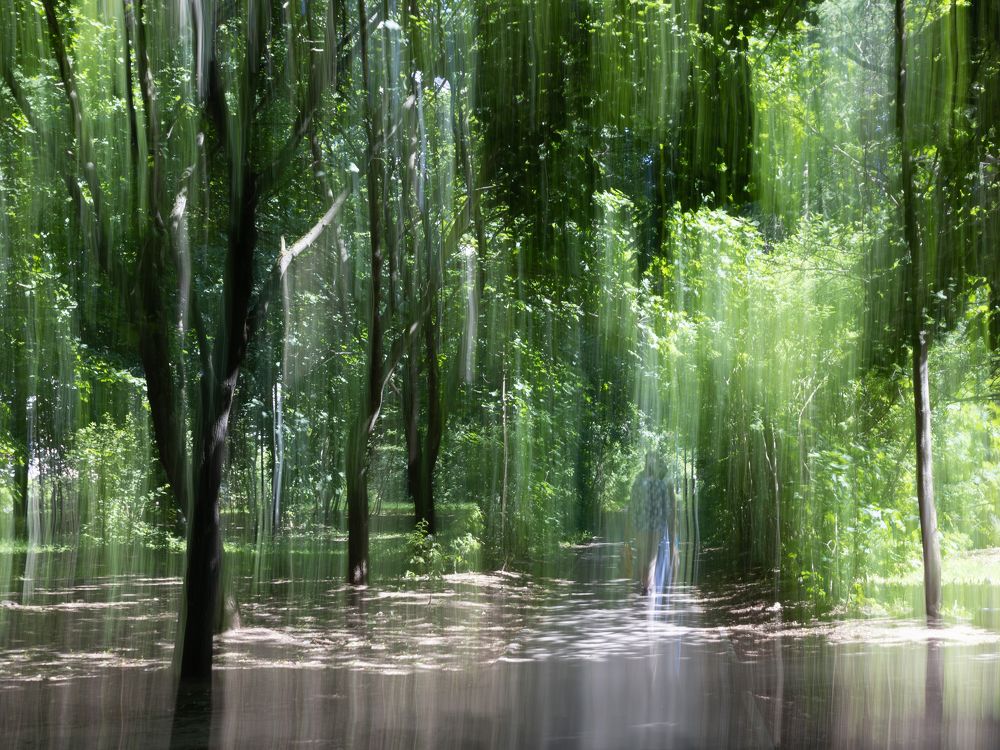 Летний дождь