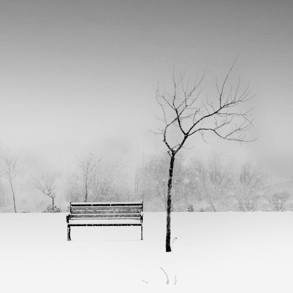 Фотография автора payman Mollaie