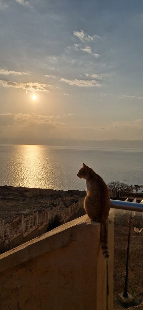 Photograph by Елена Бородич