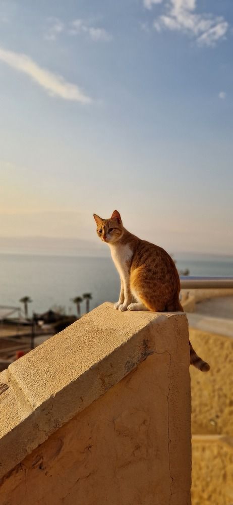 Photograph by Елена Бородич