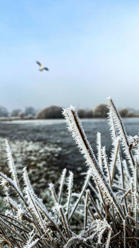 Photograph by Zinaida Sassarini