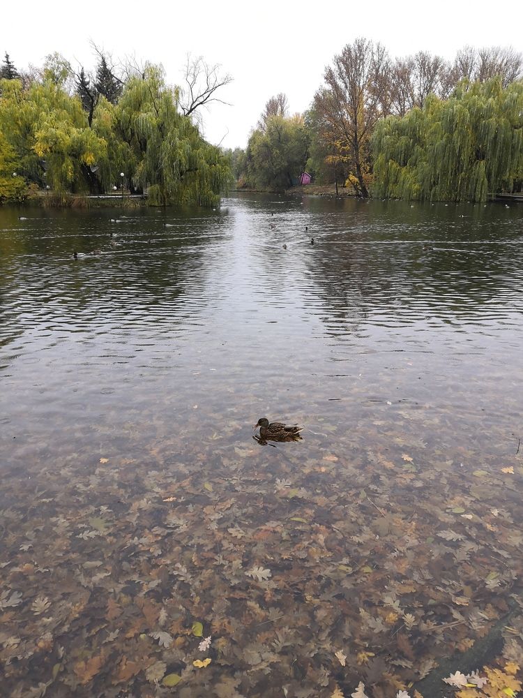 Photograph by Юлия Пацке
