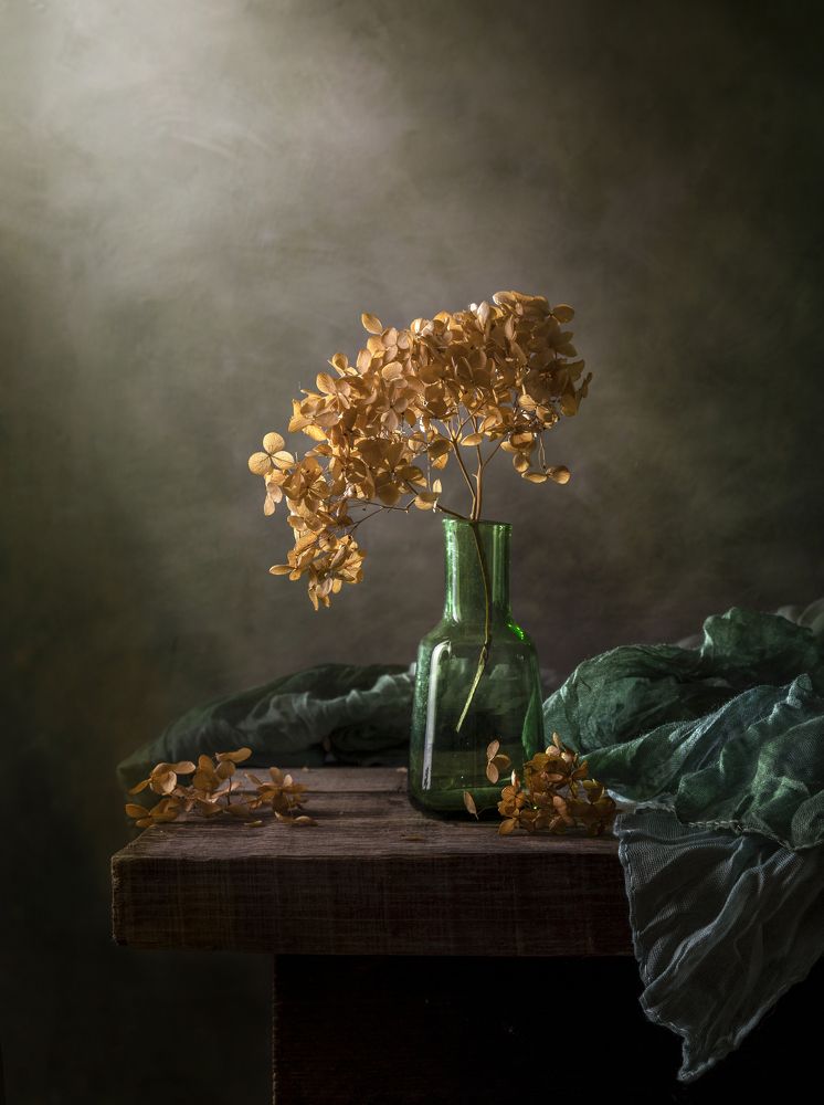 Photograph by Ирина Толокновская