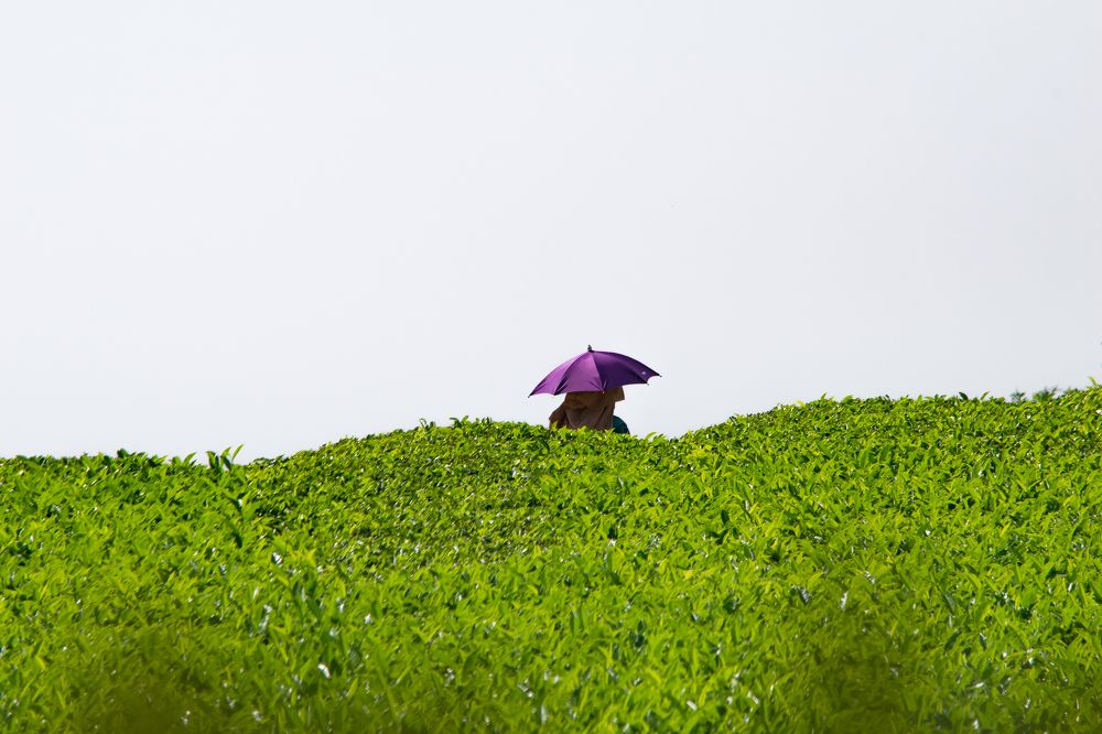 Photograph by Sanket Gudashi