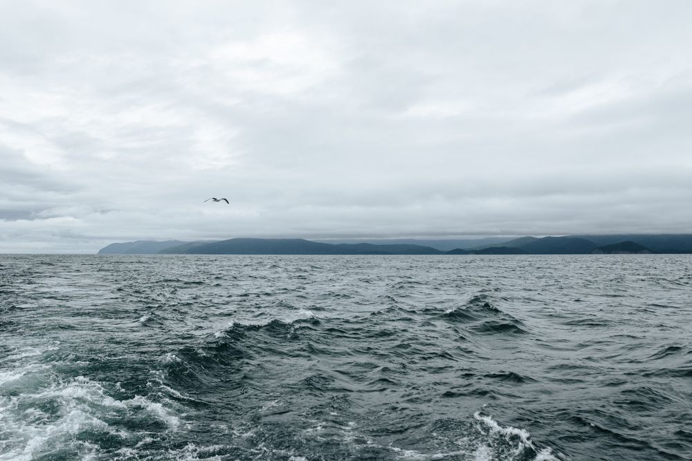 Photograph by Ольга Трушина