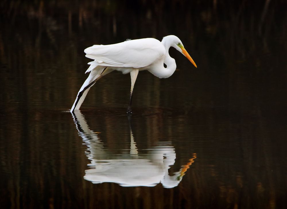 Photograph by Ковалевич А.