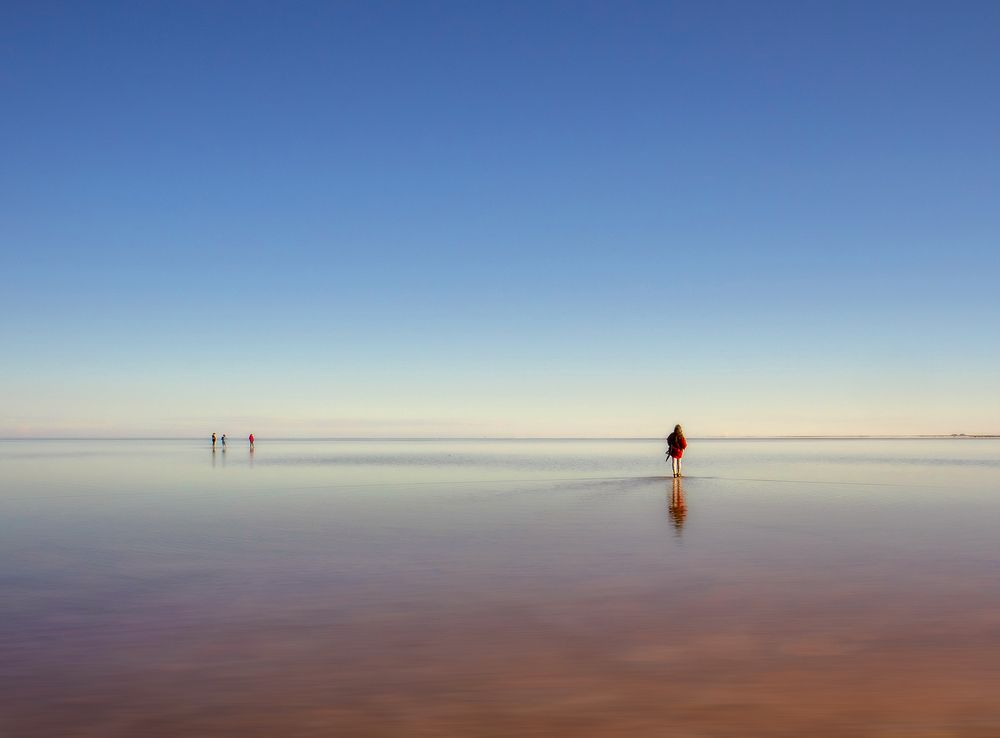 Photograph by sara shafigh