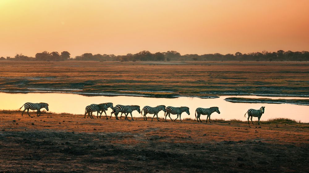 Botswana sunset