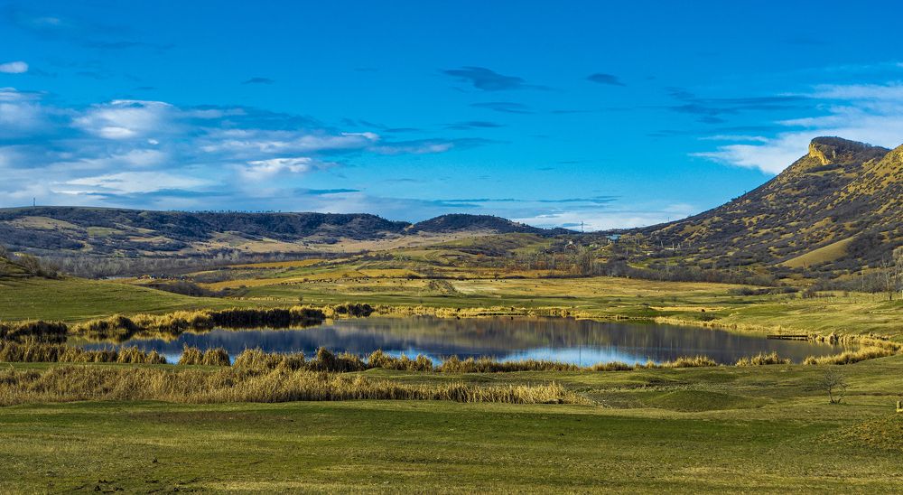 Photograph by Alex Kalpus