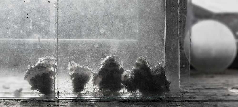Photograph by Наталья Чунакова