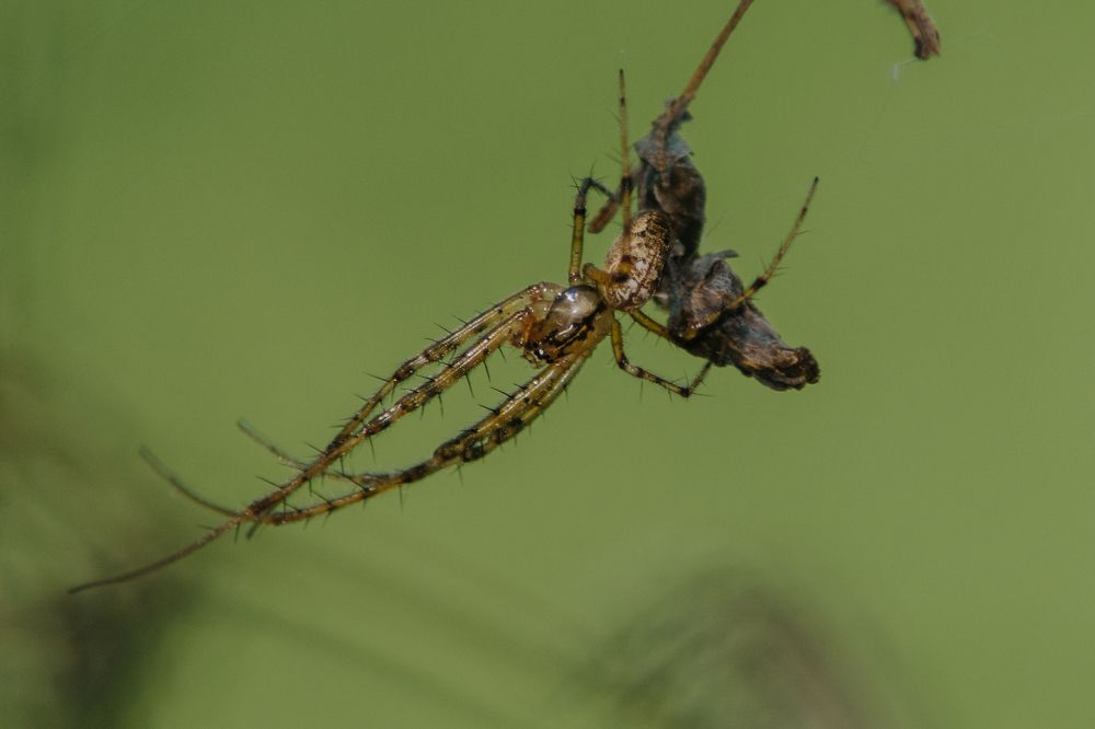 Photograph by Софья Лученкова