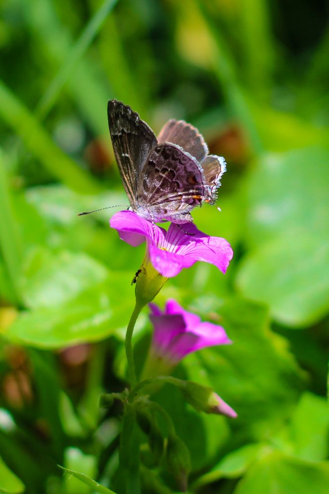 Photograph by Mariana Barboza