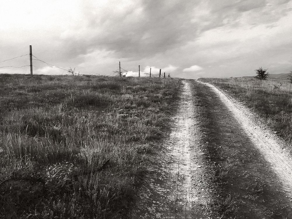 Photograph by Наталья Чунакова