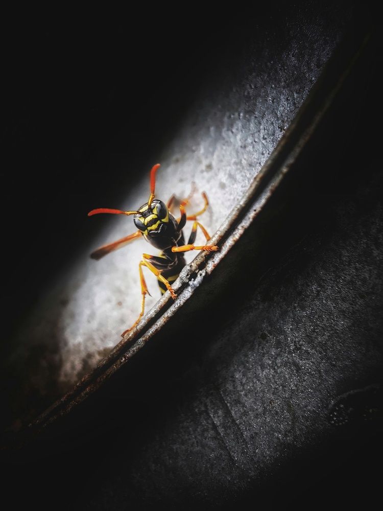 Photograph by Konstantin Martynov